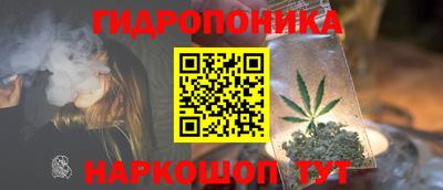 спиды Будённовск
